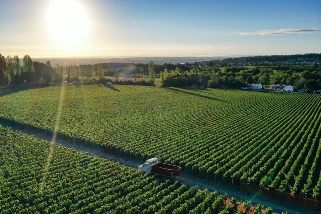 De Luxe 3 Etoiles Au Coeur De Dijon